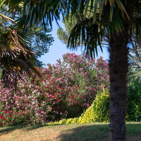 Chateau D'izaute Caupenne-d'Armagnac