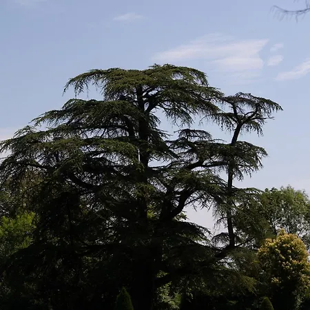 Chateau D'izaute Caupenne-d'Armagnac