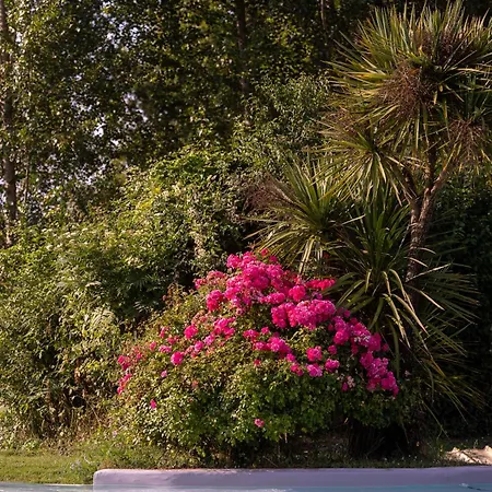 Chateau D'izaute Bed & Breakfast Caupenne-d'Armagnac