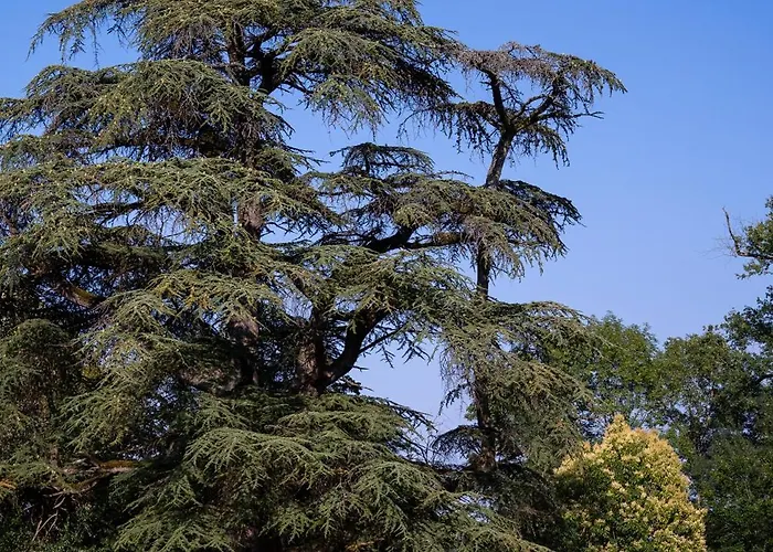 Chateau D'izaute * Caupenne-d'Armagnac