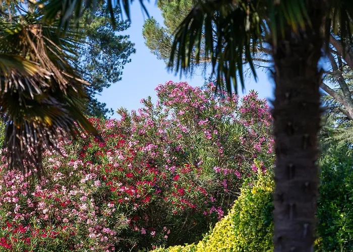 Chateau D'izaute Caupenne-d'Armagnac