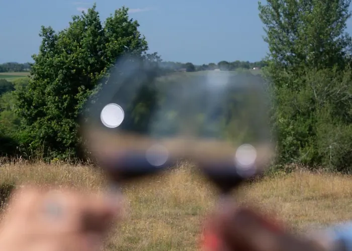 Bed & Breakfast Chateau D'izaute Caupenne-d'Armagnac