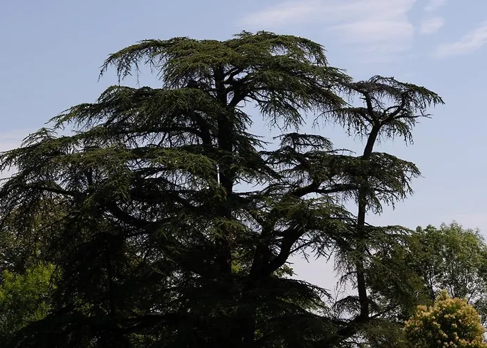 Chateau D'izaute Caupenne-d'Armagnac