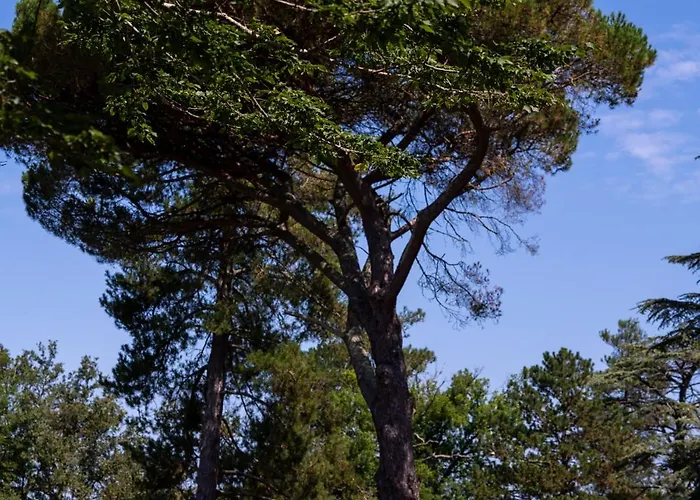 Chateau D'izaute Bed & Breakfast Caupenne-d'Armagnac