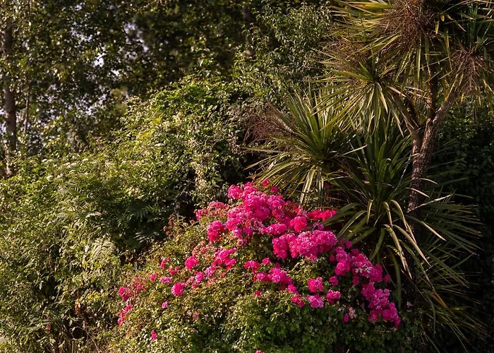 Chateau D'izaute Bed & Breakfast Caupenne-d'Armagnac